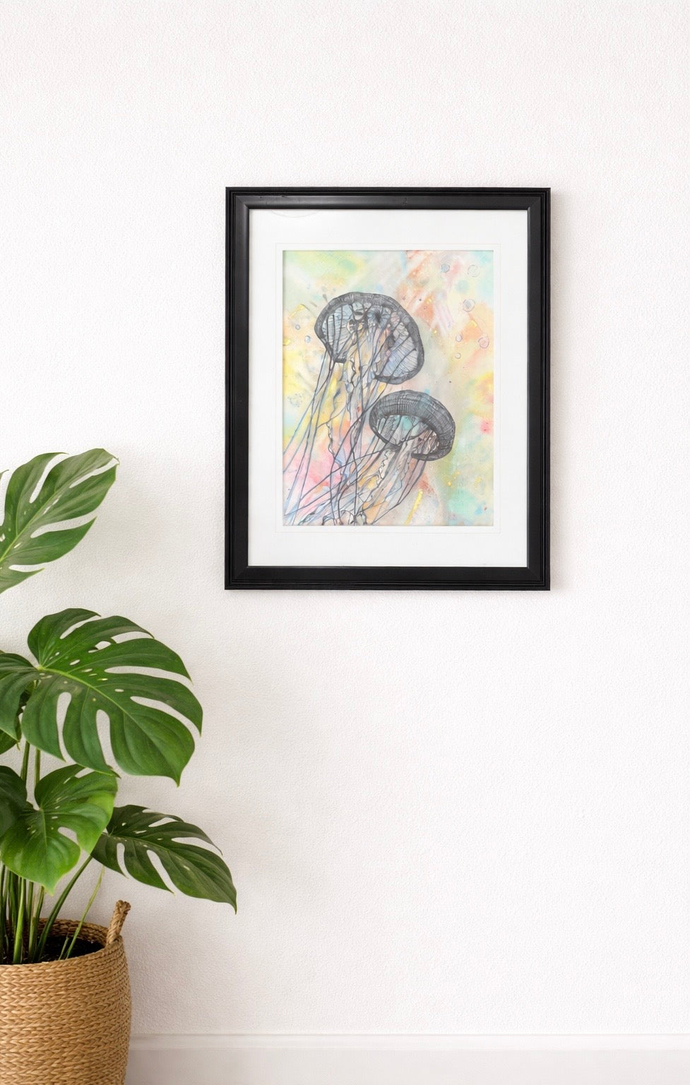 Jelly Fish One